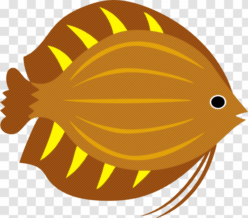 Yellow Beak Fish Science Biology Transparent PNG
