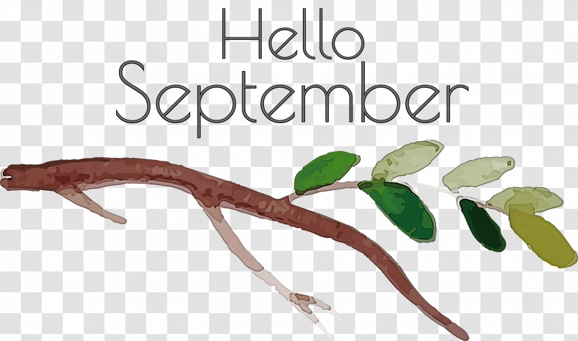 Hello September September Transparent PNG