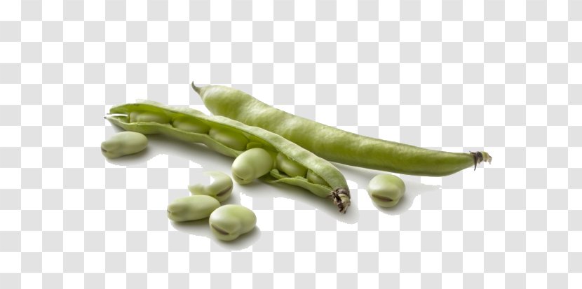 Broad Bean Pod Vegetable Seed - Health Transparent PNG
