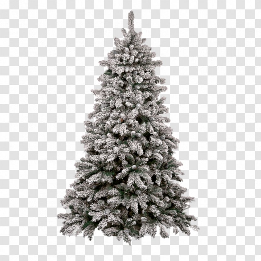 Christmas Tree Clip Art - Conifer - Snow Pine Transparent PNG