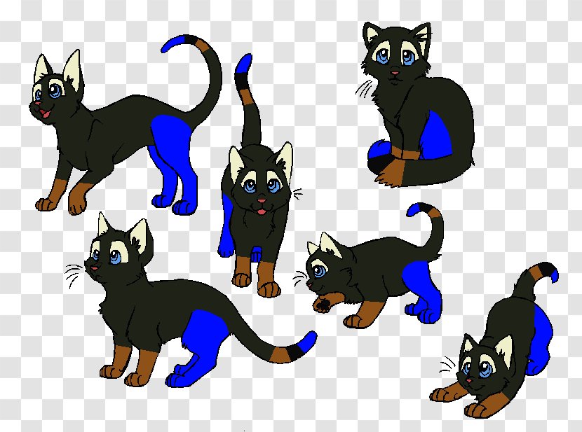 Whiskers Kitten Black Cat Warriors - Animal Transparent PNG