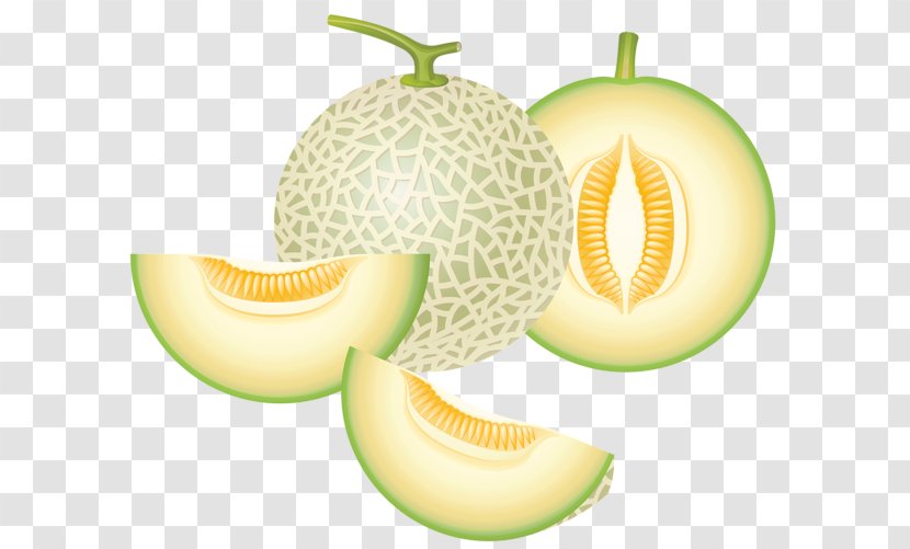 Cantaloupe Honeydew Melon Food Clip Art - Cucumis Transparent PNG
