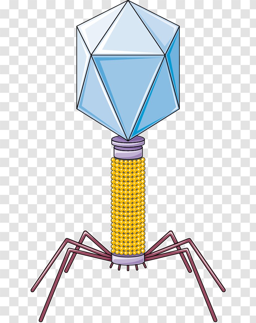 Bacteriophage Bacteria Servier Medical Virus Transparent PNG