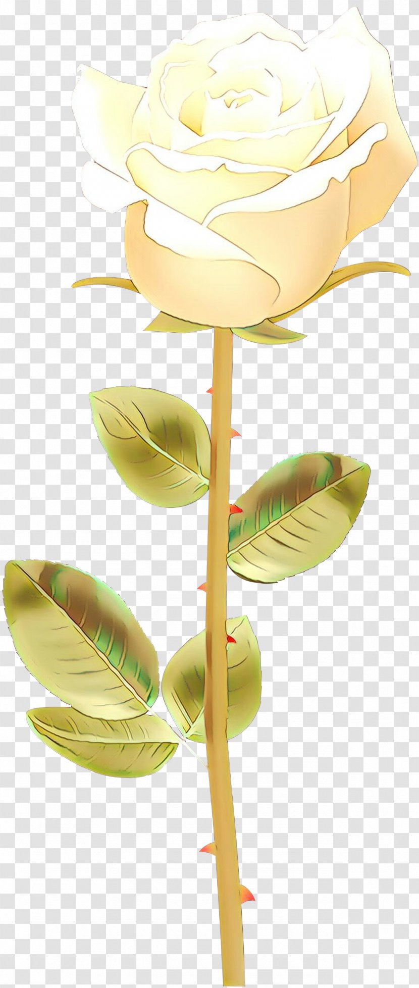 Yellow Flower Plant Leaf Stem - Cartoon - Flowering Anthurium Transparent PNG