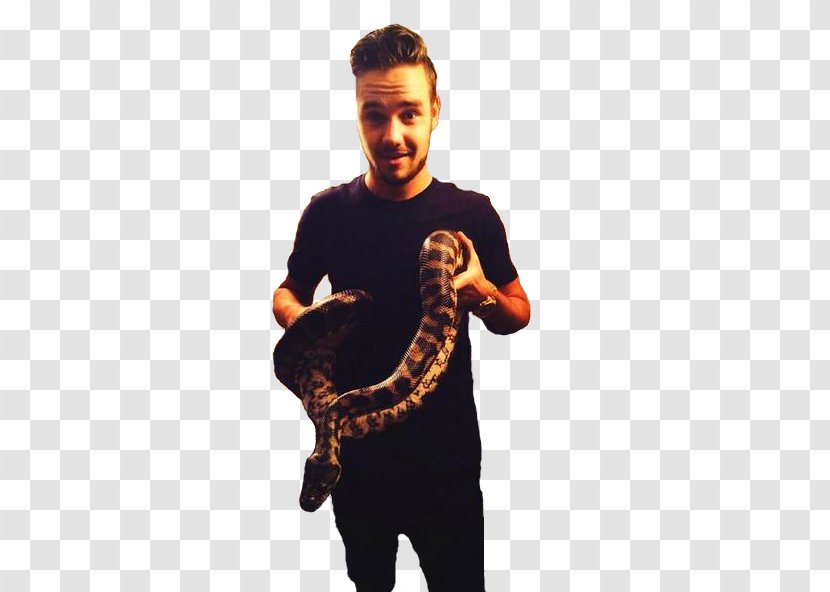 Liam Payne One Direction Cry Me A River Boy Band Him/Herself Transparent PNG
