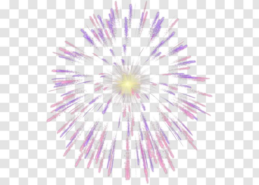 Fireworks - Symmetry - Flower Transparent PNG