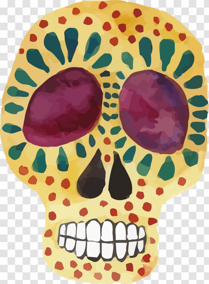 Skull Illustration - Skeleton - Colored Vector Transparent PNG