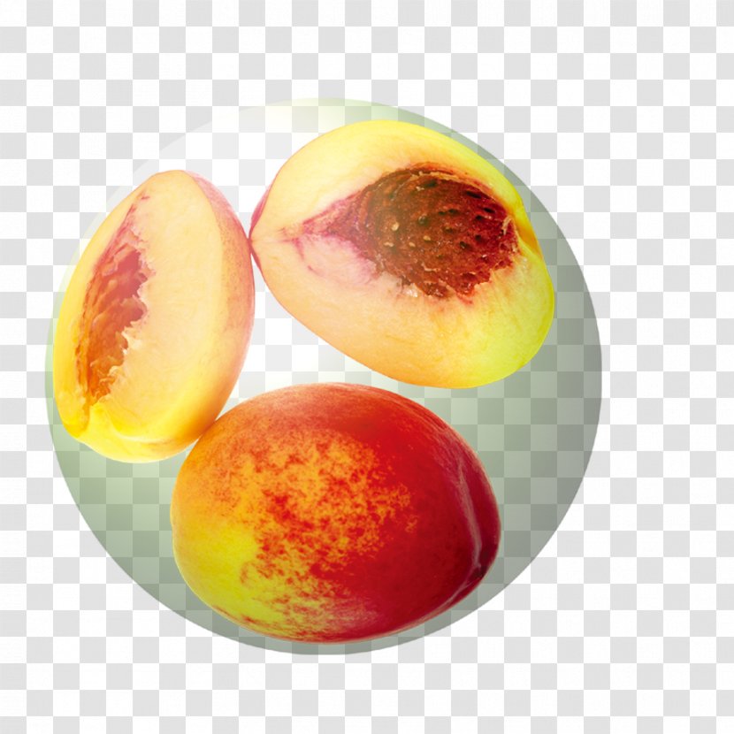 Peach Auglis - Material - Graphic Peaches Transparent PNG