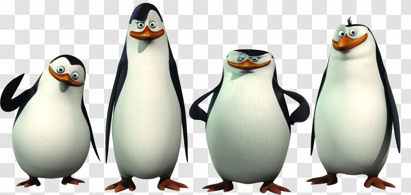 Penguin Madagascar Animation Clip Art - King - Penguins Transparent PNG