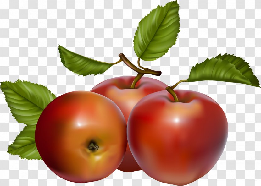 Apple Fruit Clip Art - Cherry Tomato - Berries Transparent PNG