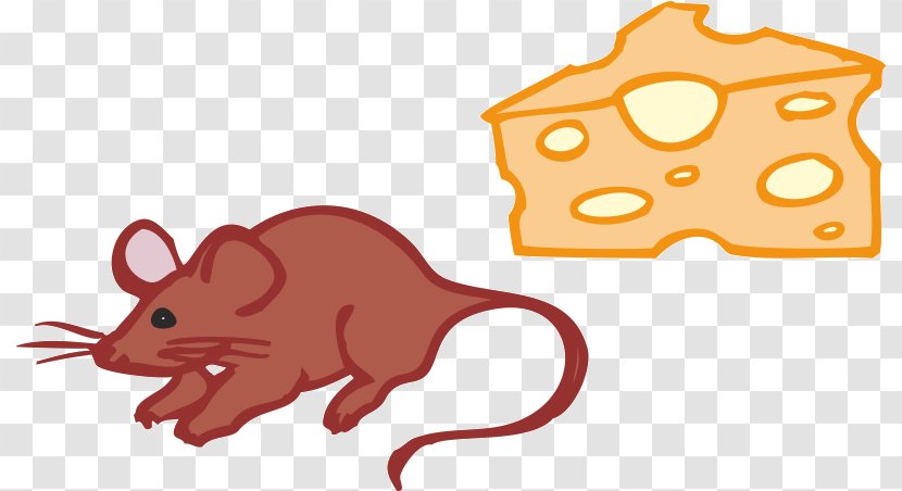 Mus Rat Gerbil Computer Mouse - Melegueta Pepper Rats Transparent PNG