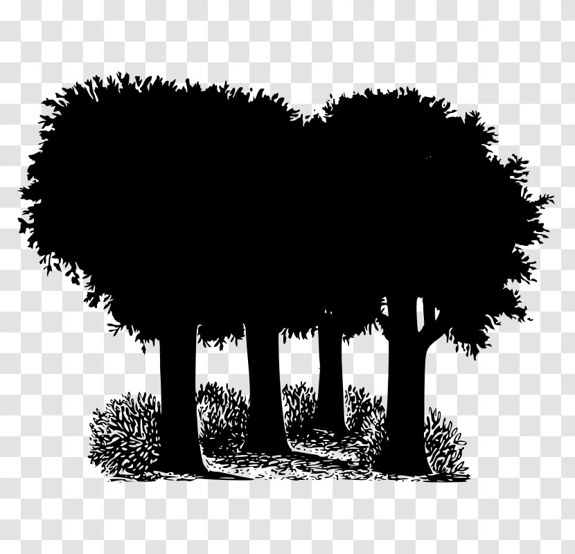 Tree Oak Forest Image Vector Graphics - Logo Transparent PNG