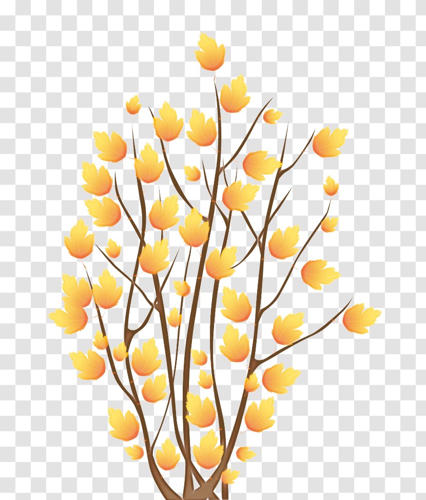 Autumn Tree Branch - Plant Stem - Twig Transparent PNG