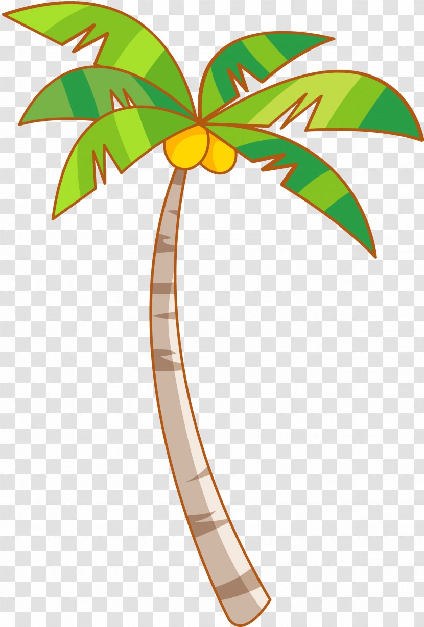 Palm Trees Coconut Clip Art Image - Plants Transparent PNG