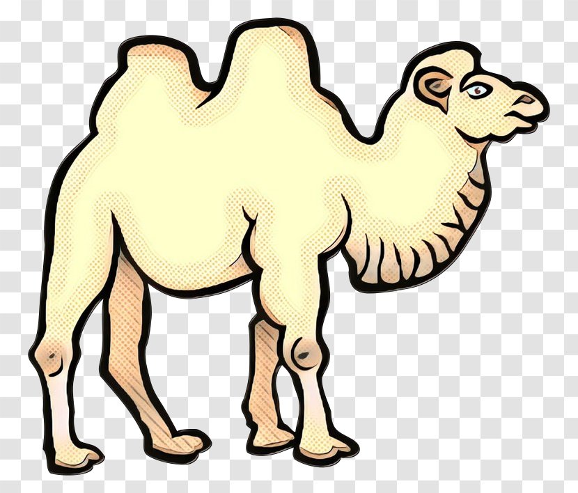 Bactrian Camel Dromedary Line Art Drawing Clip - Animal Figure - Cartoon Transparent PNG