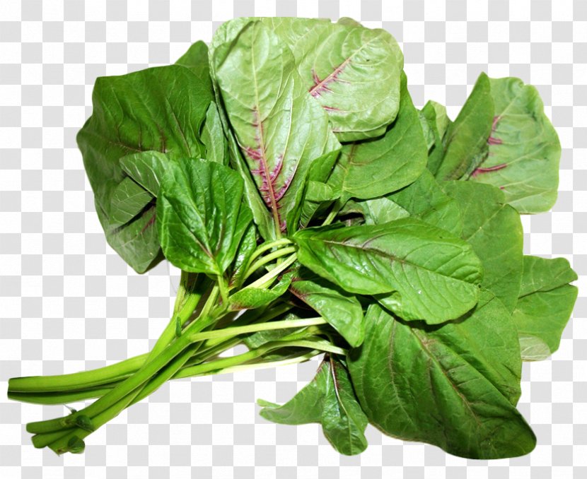 Spinach Amaranthus Viridis Dubius Love-Lies-Bleeding Chard - Choy Sum - Amaranth Leaves Transparent PNG