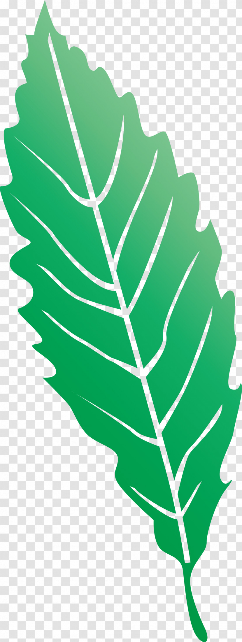 Leaf Transparent PNG