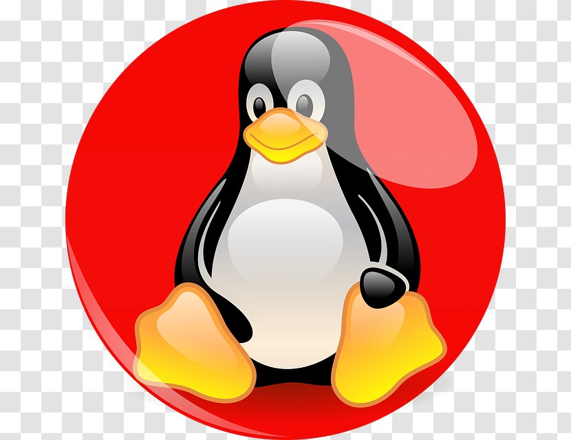 Linux Foundation Penguin Kernel Distribution - Longterm Support - Fig Transparent PNG