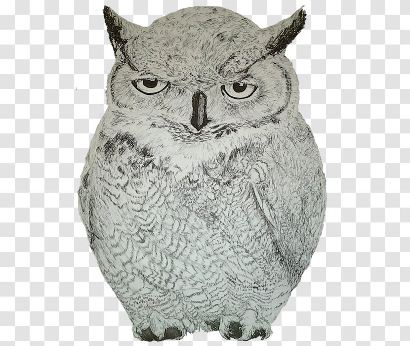Owl Fauna Beak - Back Transparent PNG