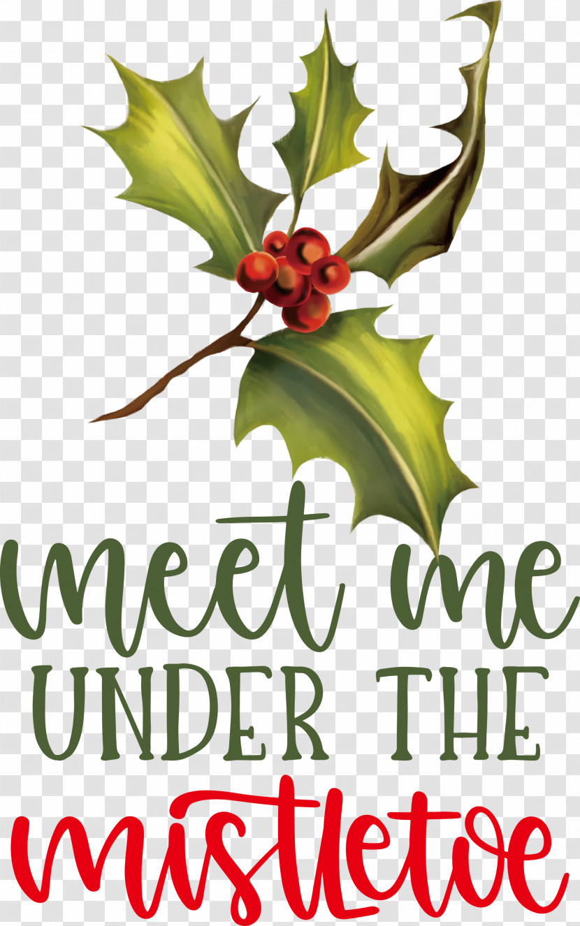Meet Me Under The Mistletoe Mistletoe Transparent PNG