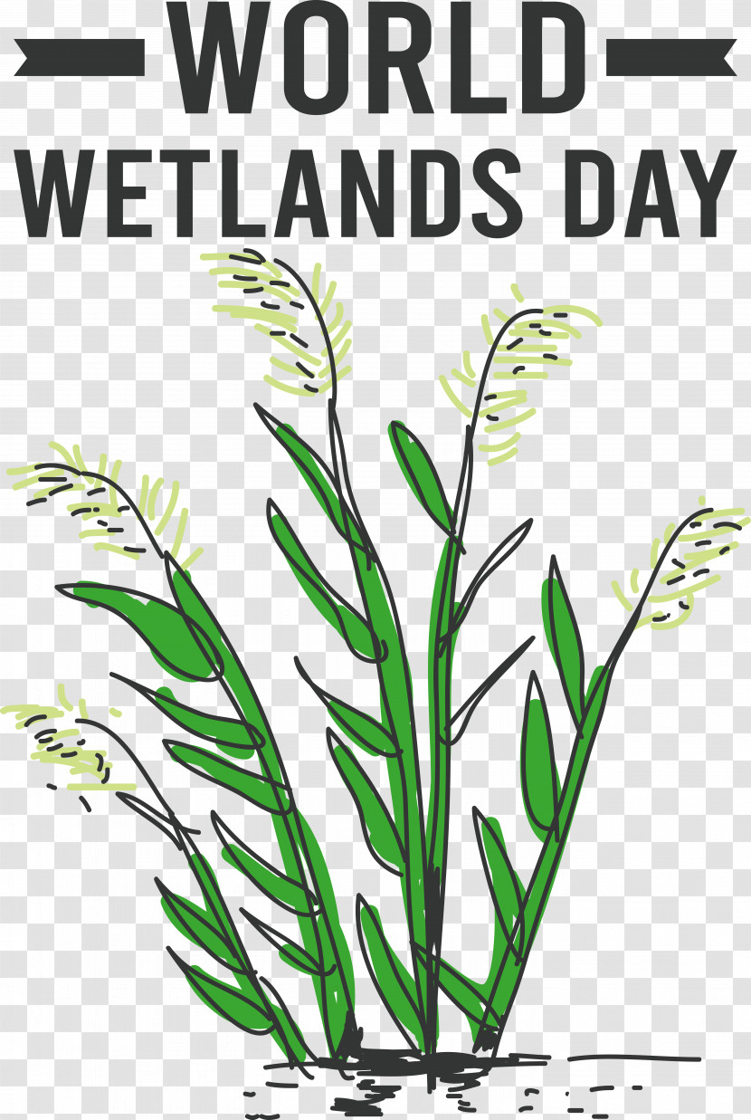 World Wetlands Day Transparent PNG