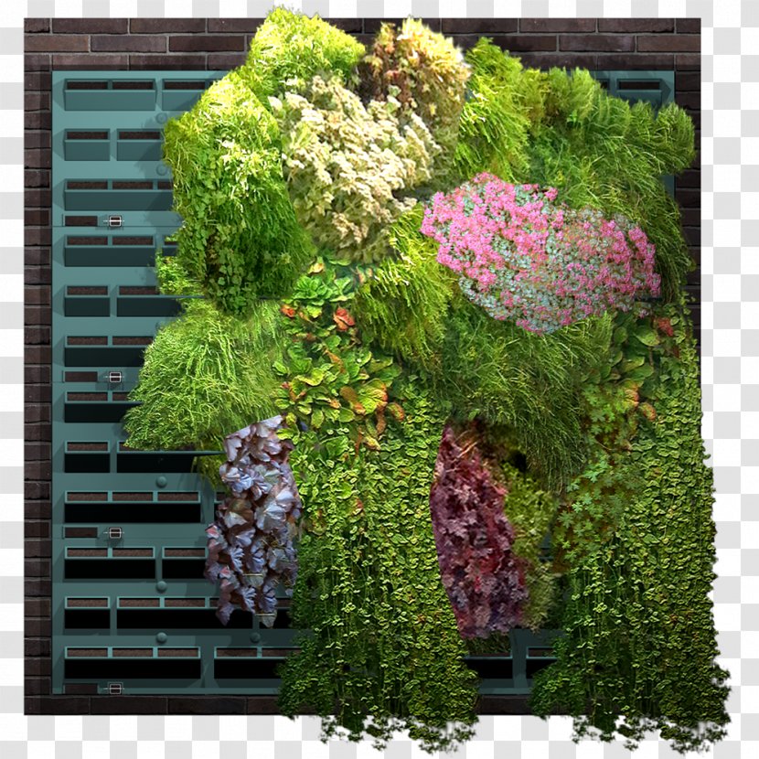 Garden Green Wall Hedge Houseplant - Dwg - Plant Transparent PNG