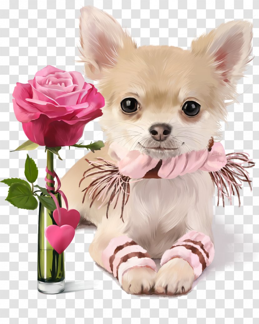 Chihuahua Puppy Pug Painting Image - Breed Transparent PNG