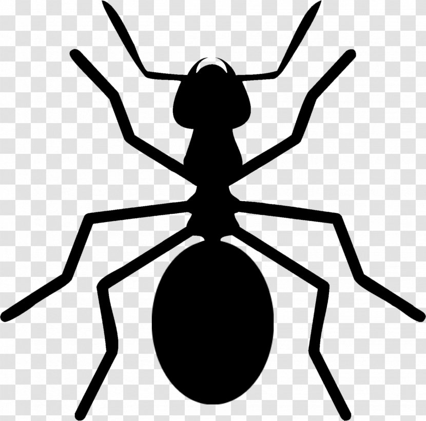 Ant Colony Insect Arthropod Clip Art - Fly Transparent PNG