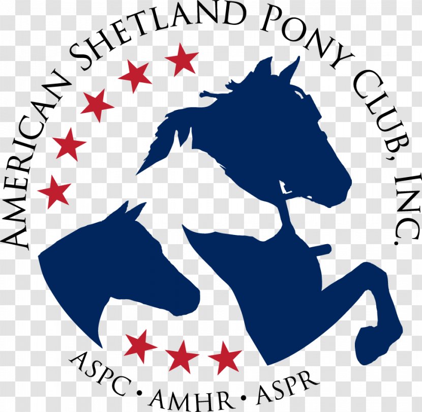 American Shetland Pony Miniature Horse Of The Americas - National Show - Colorful Nightclub Theme Poster Background Transparent PNG