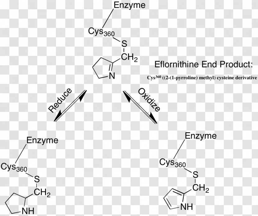Eflornithine Metronidazole Oakland University William Beaumont School Of Medicine Antibiotics White - Text - Evidence Transparent PNG
