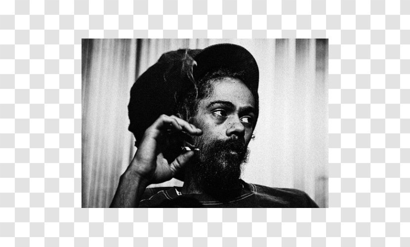 Damian Marley Medication Kingston Reggae Artist - Frame - Welcome To Jamrock Transparent PNG