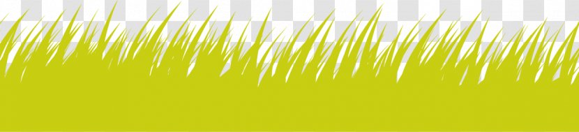 Sky Sunlight Computer Wallpaper - Grass - Vector Green Creative Icon Transparent PNG