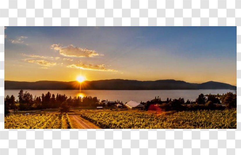 Summerhill Pyramid Winery Okanagan Lake Sunset Organic Bistro Mission Hill - Morning - Wine Transparent PNG