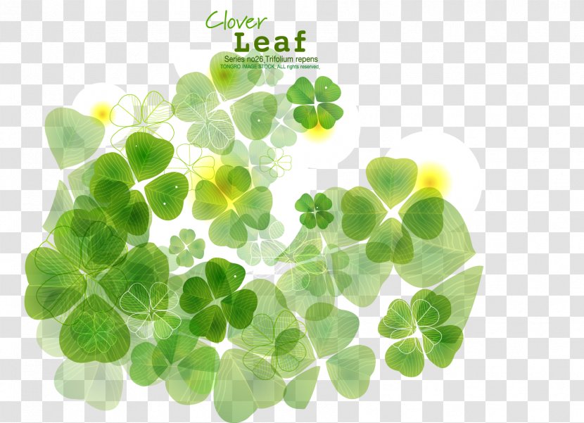 Four-leaf Clover - Shamrock Transparent PNG