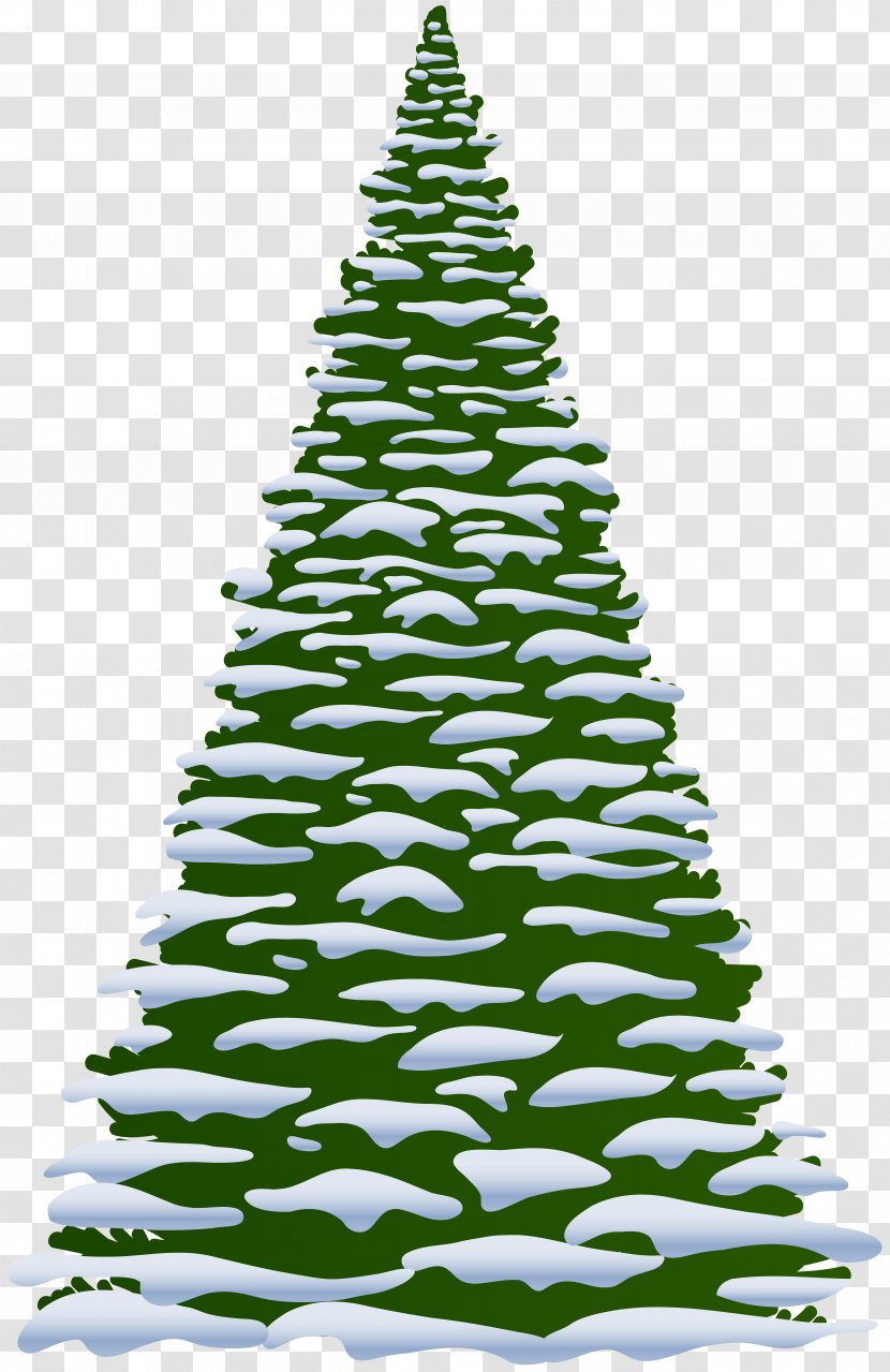 Pine Fir Clip Art - Christmas Decoration - Tree Transparent PNG