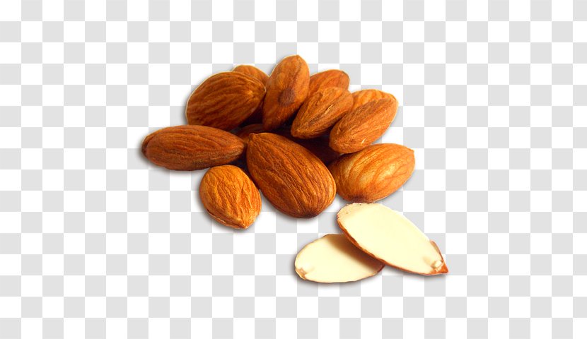 Almond Milk Nut Food - Eating - Physical Map Transparent PNG