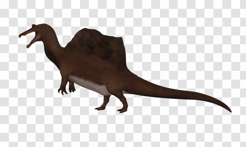 Velociraptor Tyrannosaurus Fauna Animal - Dinosaur Transparent PNG
