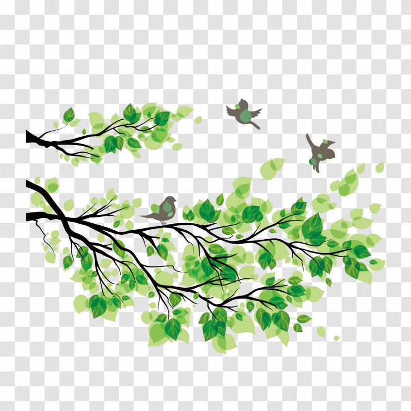 Vector Graphics Illustration Royalty-free IStock - Plant - Tree Transparent PNG