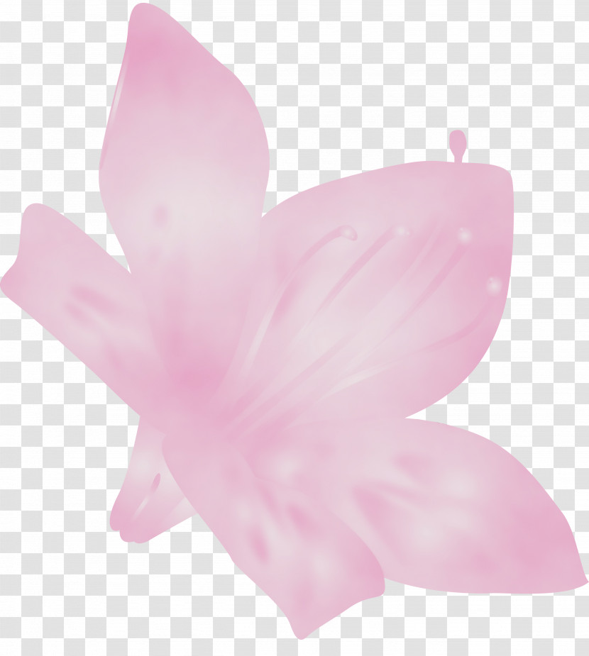 Pink Petal Flower Plant Herbaceous Plant Transparent PNG