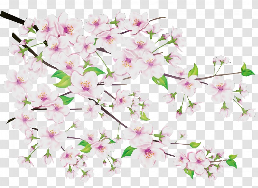 Watercolor Pink Flowers - Artificial Flower - Moth Orchid Twig Transparent PNG