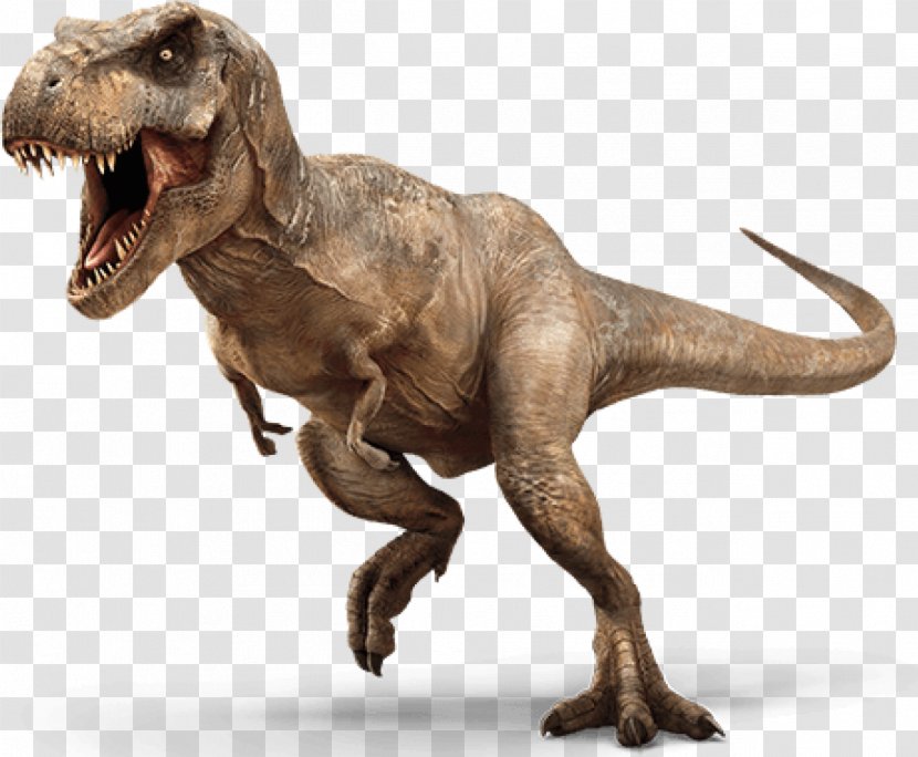Tyrannosaurus Triceratops Velociraptor Spinosaurus Dinosaur - Extinction Transparent PNG