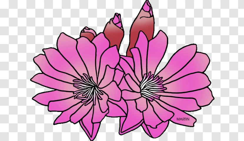 Montana Clip Art Flower Image - Bitterroot Cartoon Transparent PNG