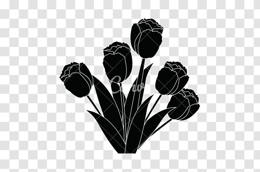 Flower Monochrome Photography - Tulip - Tulips Transparent PNG