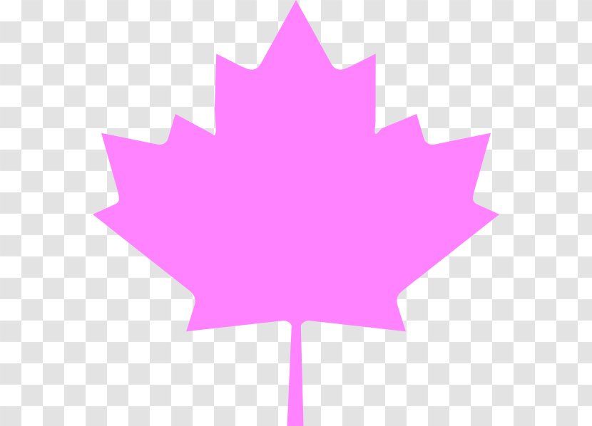 Flag Of Canada Quebec Maple Leaf - Royaltyfree - Pink Leaves Transparent PNG