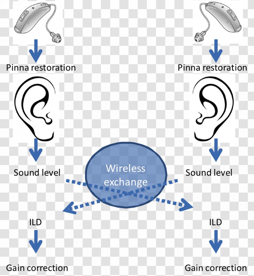 Binaural Hearing Aids Loss - Microwave Auditory Effect - Ear Transparent PNG