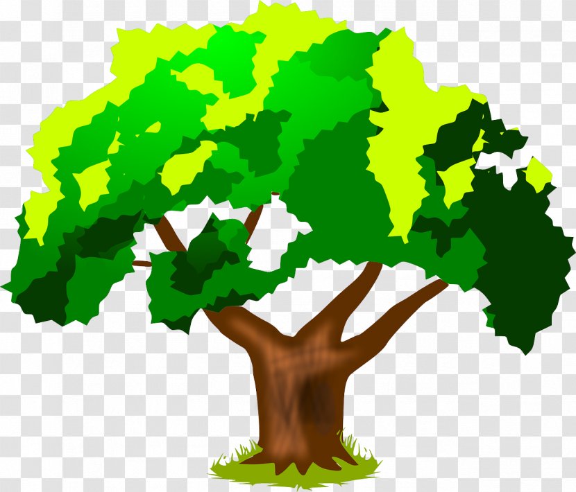Cedar Hill Fertilisers Compost Board Of Directors Voluntary Association - Leaf - Tree Vector Transparent PNG