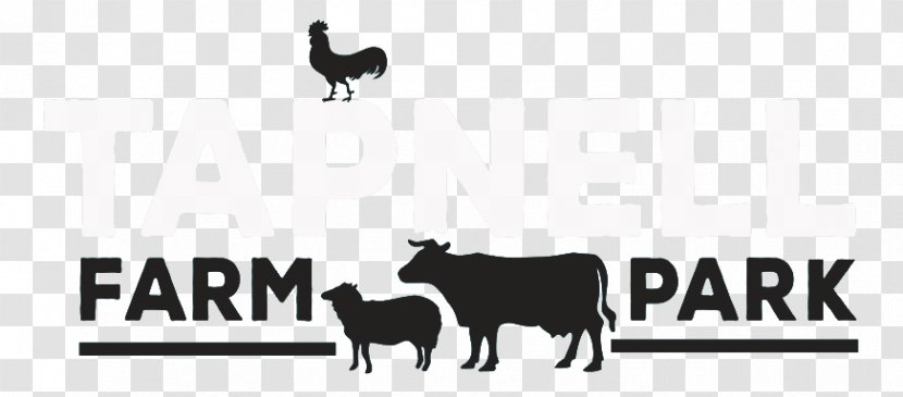Cattle Tapnell Farm Park Sheep Goat Logo - Isle Of Wight - Dairy Transparent PNG