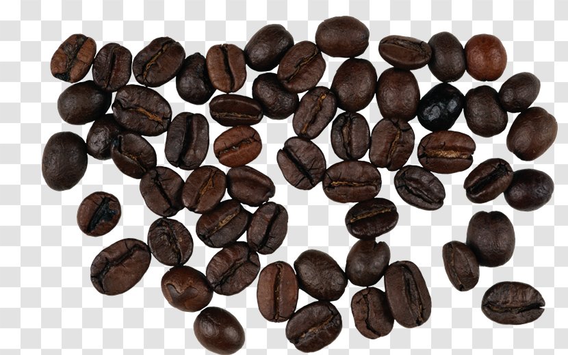 Coffee Bean Instant Single-origin - Food Transparent PNG