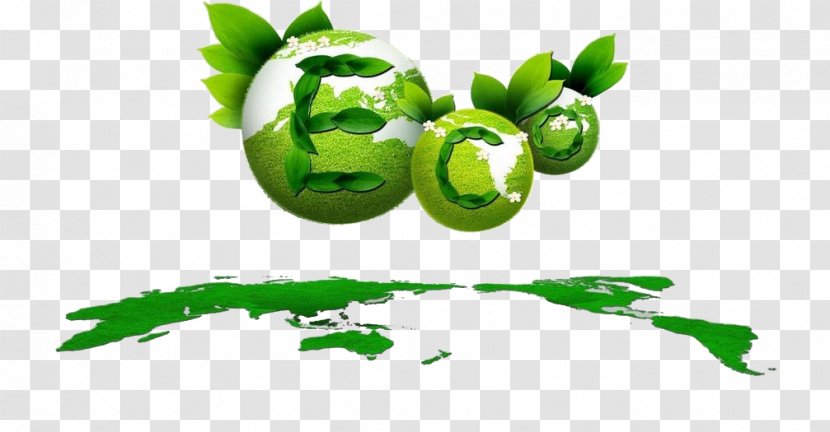 Poster Graphic Design Environmental Protection - Grass - Earth Transparent PNG
