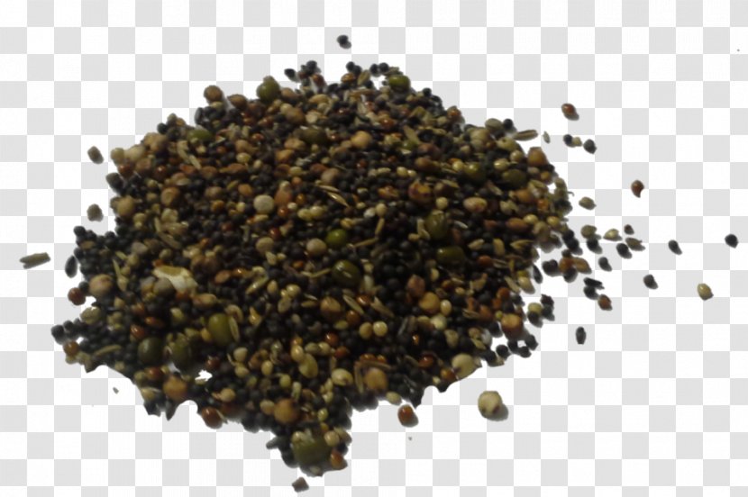 Seed Germination Silicon Silane Powder - Seasoning - Bean Transparent PNG